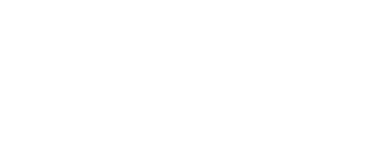 Domingo Bisio